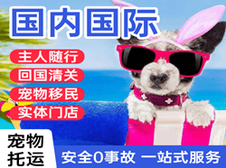 南通兴东航空邮寄国际宠物托运 【国
